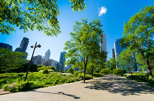 Chicago Millenium Park Part of the public gardens in Millenium Park in Chicago, Illinois, USA. Logos removed and people too small to be recognisable in distance. millennium park chicago stock pictures, royalty-free photos & images