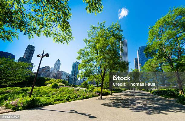 Chicago Millenium Park Stock Photo - Download Image Now - Chicago - Illinois, Millennium Park - Chicago, Public Park