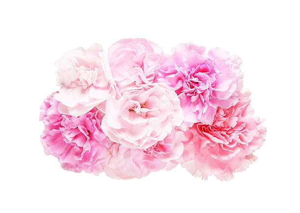 istock Bouquet of carnation 544315042
