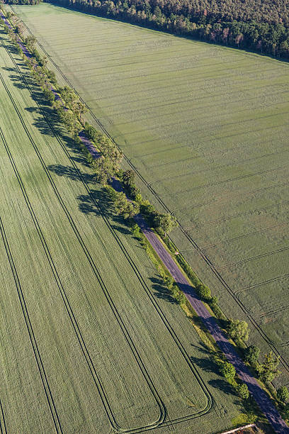 istock aerial view of the  harvest fields 544315192