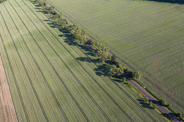 istock aerial view of the  harvest fields 544315298