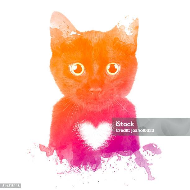 Cat With Color Stock Photo - Download Image Now - Animal, Chest - Torso, Color Gradient