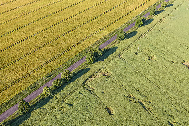 istock aerial view of the  harvest fields 544316278