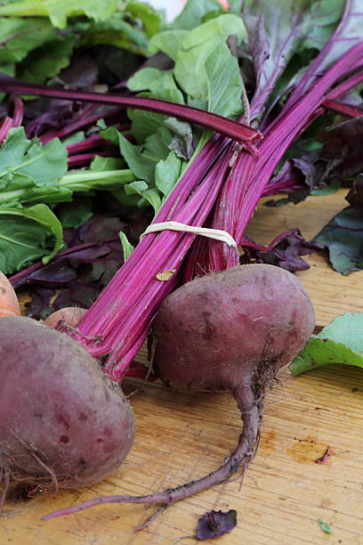 beets のファーマーズマーケット - farmers market agricultural fair agriculture beet ストックフォトと画像