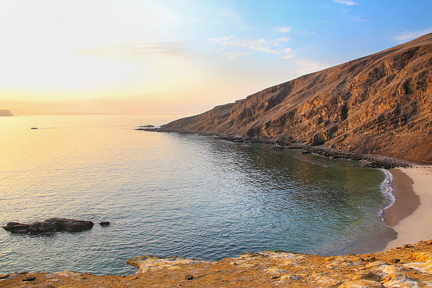 istock La Mina Beach in Paracas National Reserve, Peru. 544322842