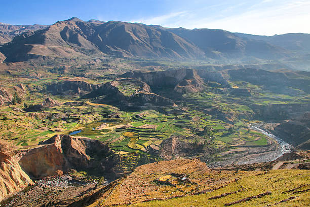 istock Stepped terraces in Colca Canyon in Peru 544324598
