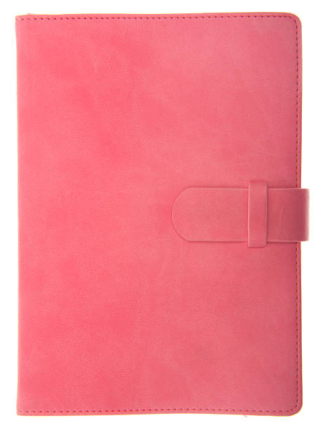 istock Pink Ring Binder Organizer - Girl Power 544326504
