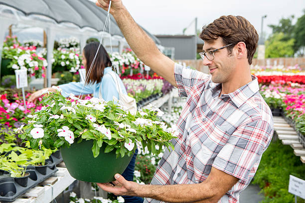 Handsome mid adult Caucasian man with glasses holds a hanging basket containing white periwinkle flowers. He is shopping at an outdoor garden center.