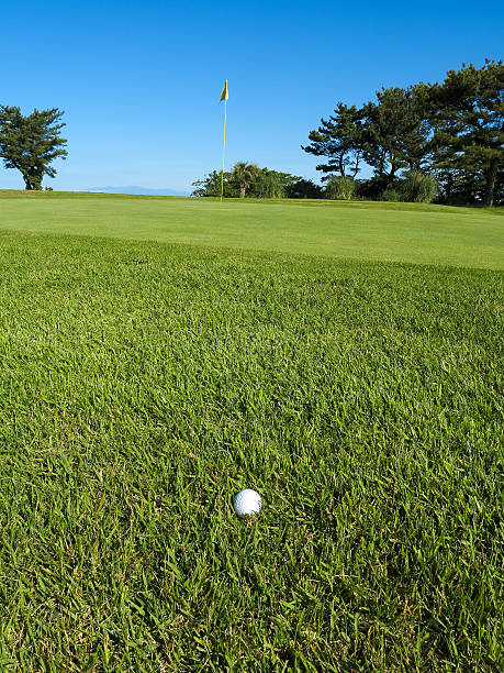 parcours de golf  - bent photos et images de collection