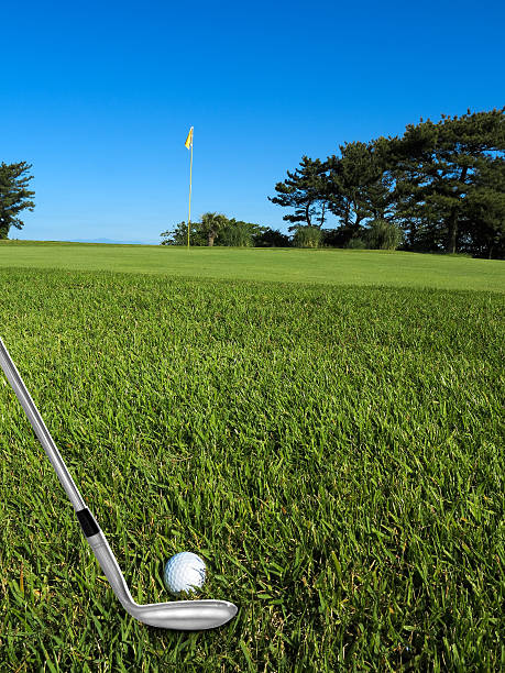 golf golfplatz - bent stock-fotos und bilder