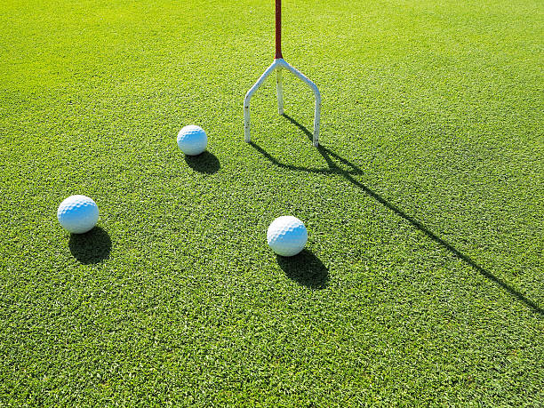 putter training field - bent stock-fotos und bilder