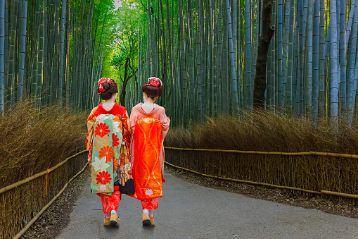 Kyoto, Japan - November 22 2015: Unidentified Japanese Geisha at Chikurin-no-Michi (Bamboo Grove) in Arashiyama district