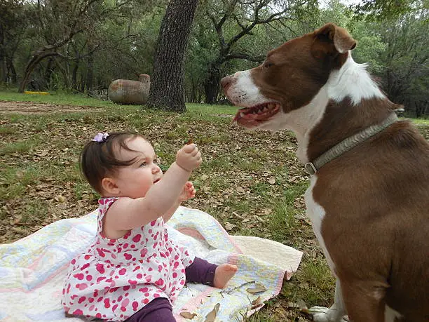 Baby girl and dog outside best friends