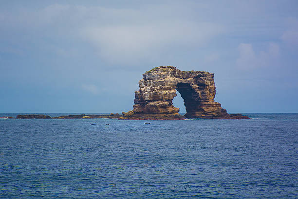 istock Dolphins swimming past Darwin's Arch, Galapagos 544329926