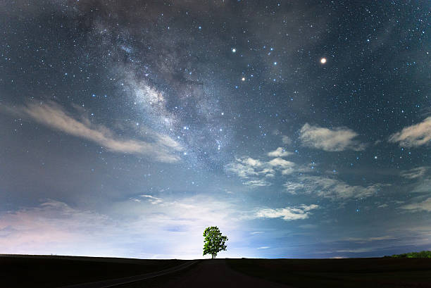 외로운 나무와 은하수. - 경외감 이미지 뉴스 사진 이미지