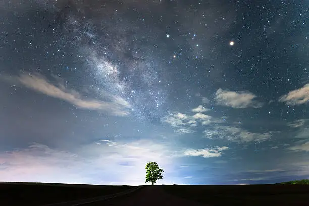 Lonely tree under the starry night sky and the milky way on above.