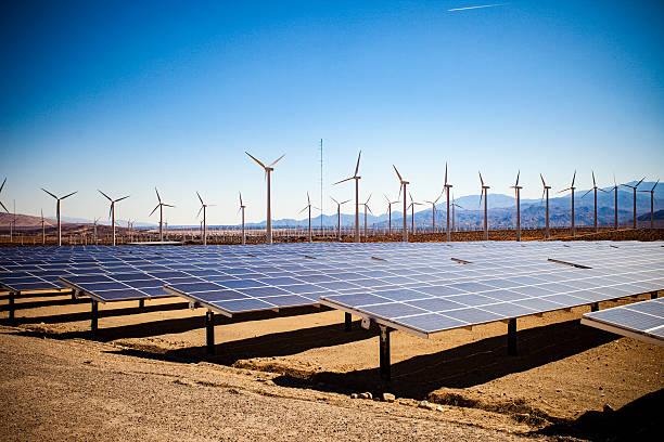 istock Field of Solar Panels and Windmills 544330298