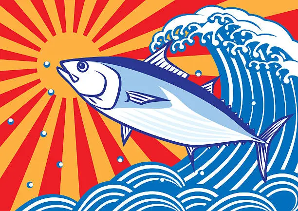 Vector illustration of Bonito and waves.tuna.skipjack tuna.