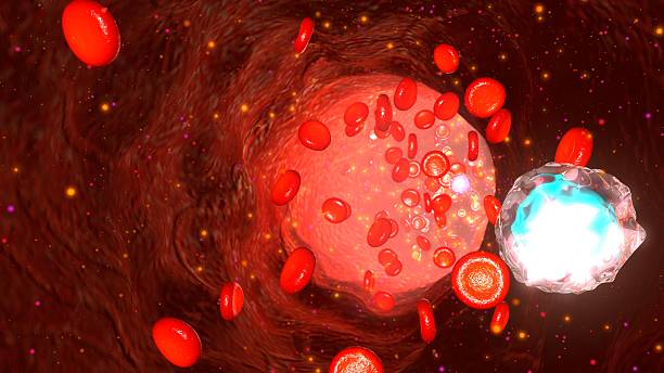istock Blood Flow in Human Body 544339236