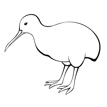 Free download of Kiwi Bird clip art Vector Graphic