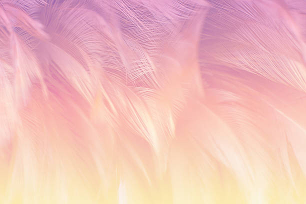 istock Soft focus fashion Color Trends fluffy feathers abstract texture background 544344300