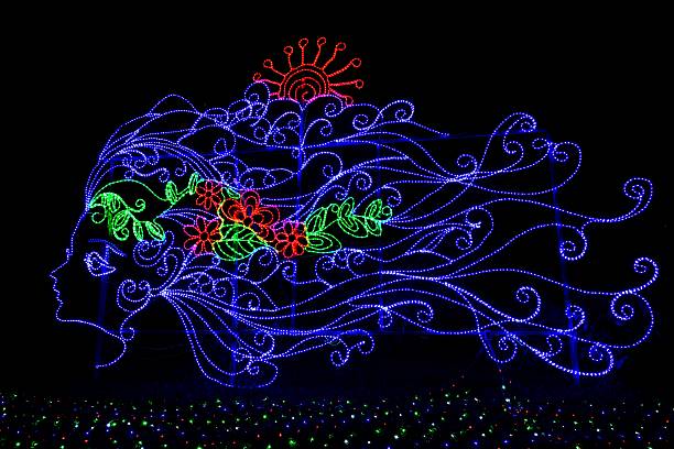 Beautiful effect of fishes and flower created with lighting.