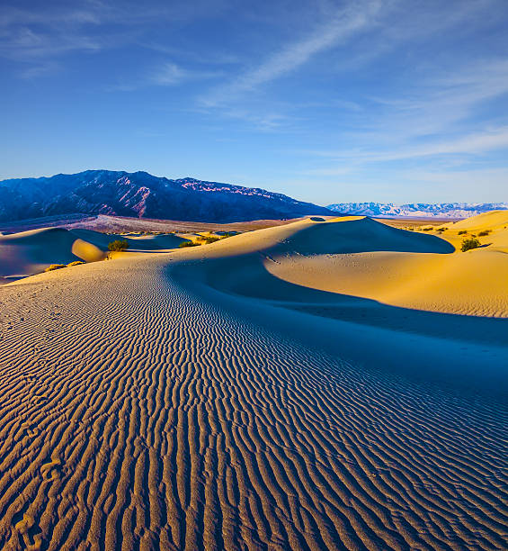 de manhã cedo  - bizarre landscape sand blowing - fotografias e filmes do acervo