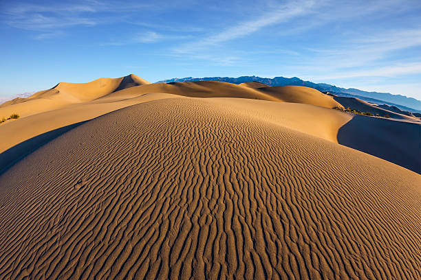 istock Sand dunes are covered with small ripples 544345814