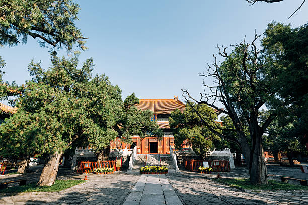 Tempio Di Confucio Taipei Immagine Foto e Immagini Stock iStock