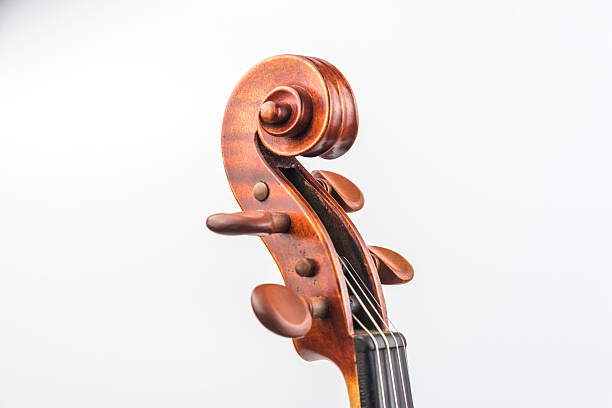 istock Close-up of violin 544346502