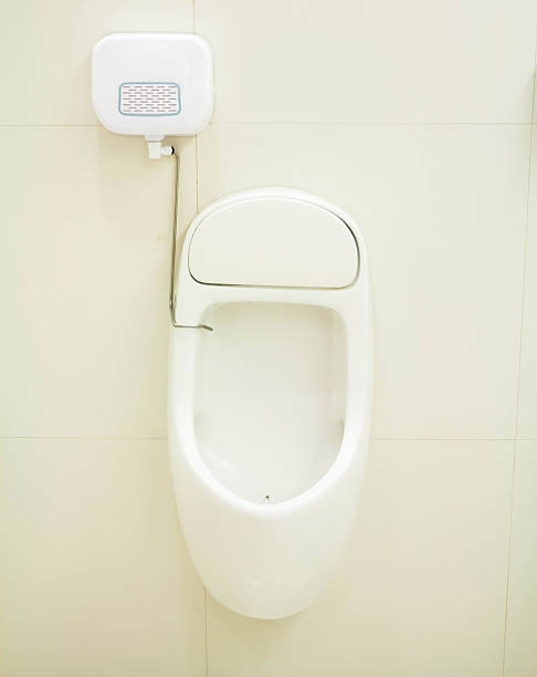 istock urinals in men's bathroom 544348032