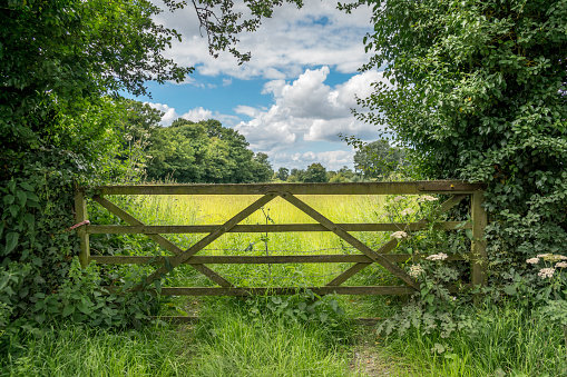 Rustic five bar gate onto an English meadow