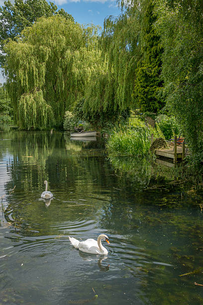 mill pond - mill - fotografias e filmes do acervo