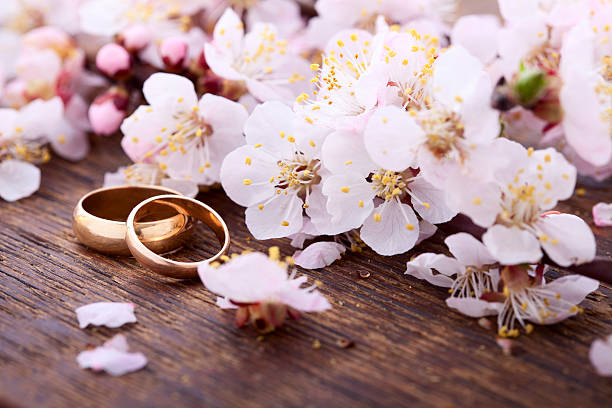 istock Wedding rings. Spring. Flowering branch on wooden surface. 544352046