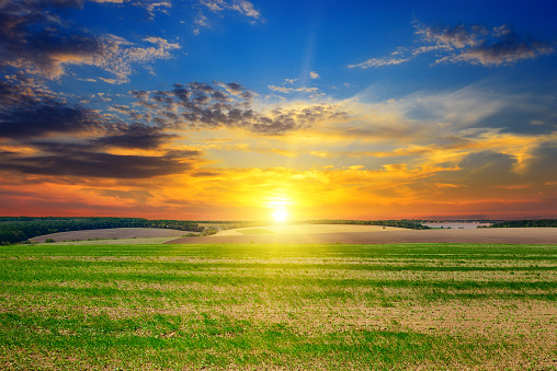 field, sun rise and blue sky