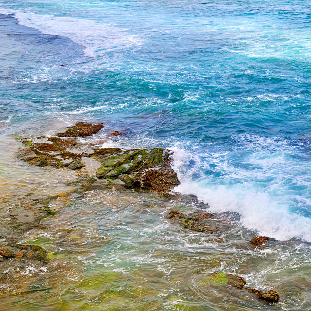 background of ocean waters and coastal stones