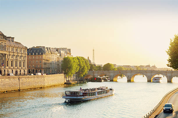 istock Pont Neuf, Paris, France 544357946
