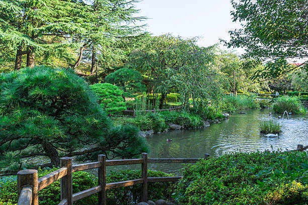 Japanese garden Japanese Garden at Equeraki Koen setagaya ward stock pictures, royalty-free photos & images