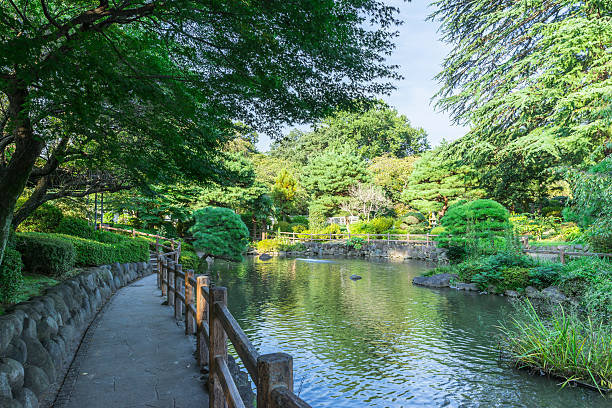 istock Japanese garden 544359176