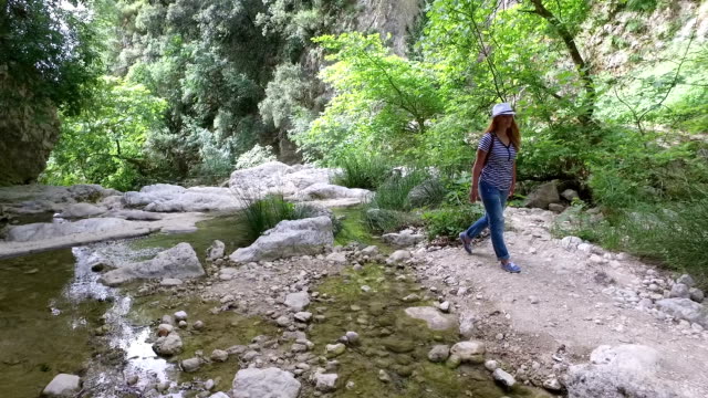 Hiker woman walking trough a forest