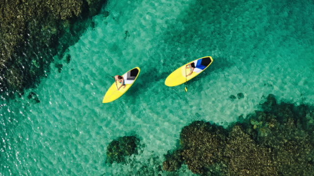 Aerial view of young couple stand up paddling