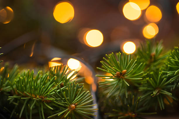 istock Fir-tree branch with christmas lights over the wooden surface 544443256