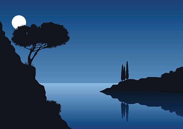 full moon night with coastal landscape vector art illustration