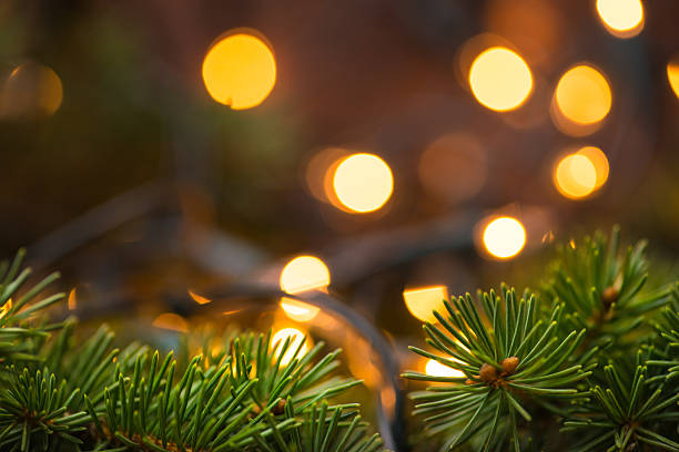 istock Fir-tree branch with christmas lights over the wooden surface 544443610