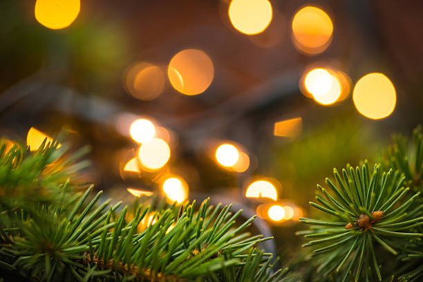 istock Fir-tree branch with christmas lights over the wooden surface 544443806