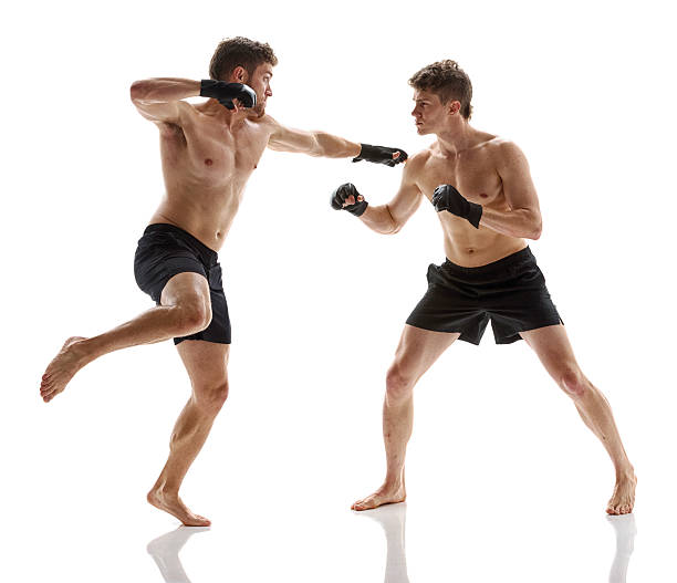 istock Mixed martial arts fighters fighting 544444734