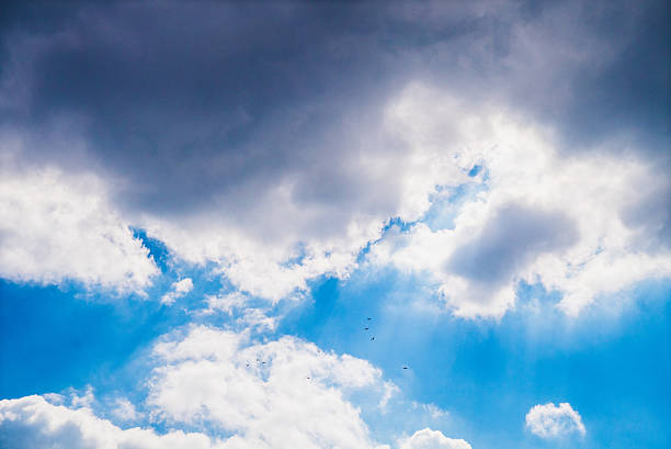 istock Sun shining birds flying over heavenly blue sky 544444810