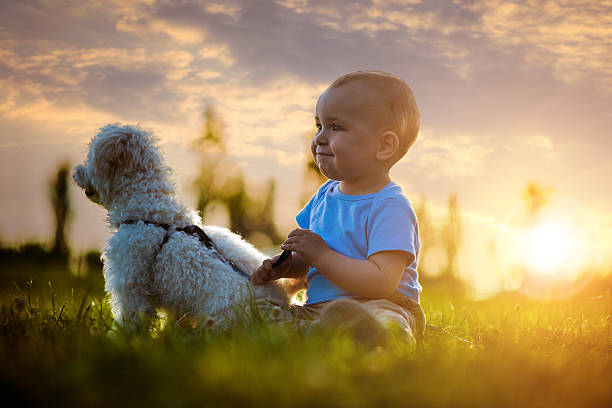 istock Happy child with a dog 544448506