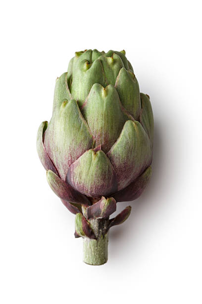 verdure : carciofi solo su sfondo bianco - purple artichoke foto e immagini stock