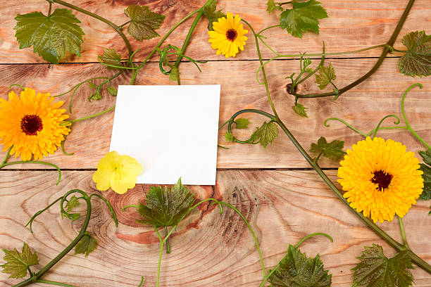 istock flowers and vine sticker 544450050